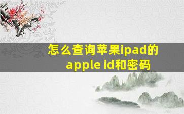 怎么查询苹果ipad的apple id和密码